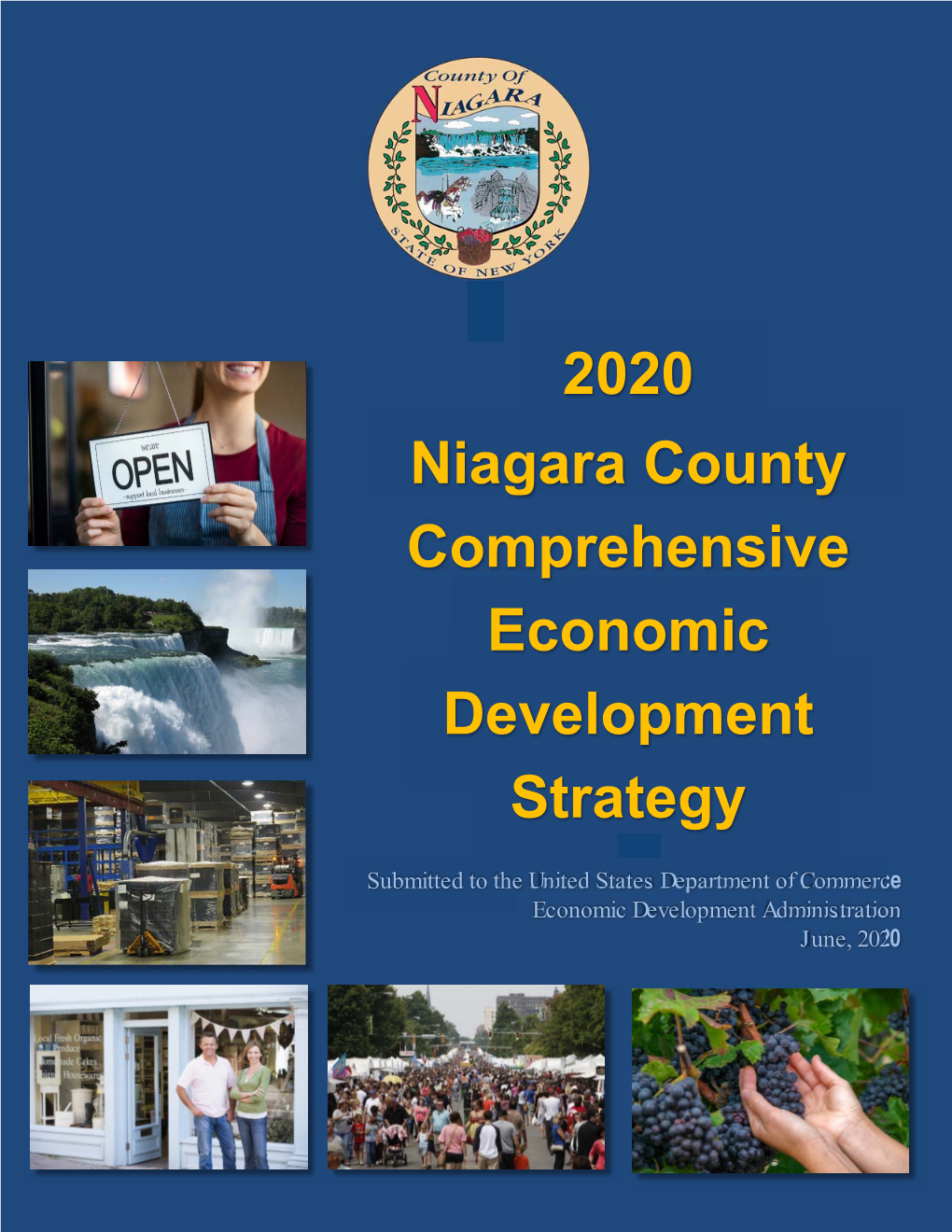 2020 Niagara County Comprehensive Economic Development Strategy