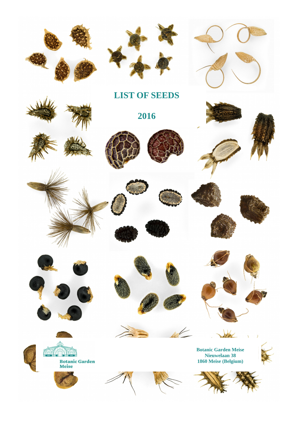 List of Seeds 2016