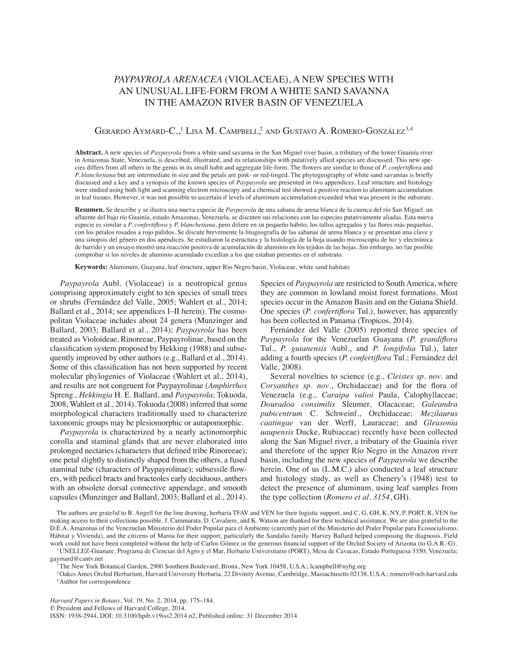 Paypayrola Arenacea (Violaceae), a New Species with an Unusual Life-Form from a White Sand Savanna in the Amazon River Basin of Venezuela