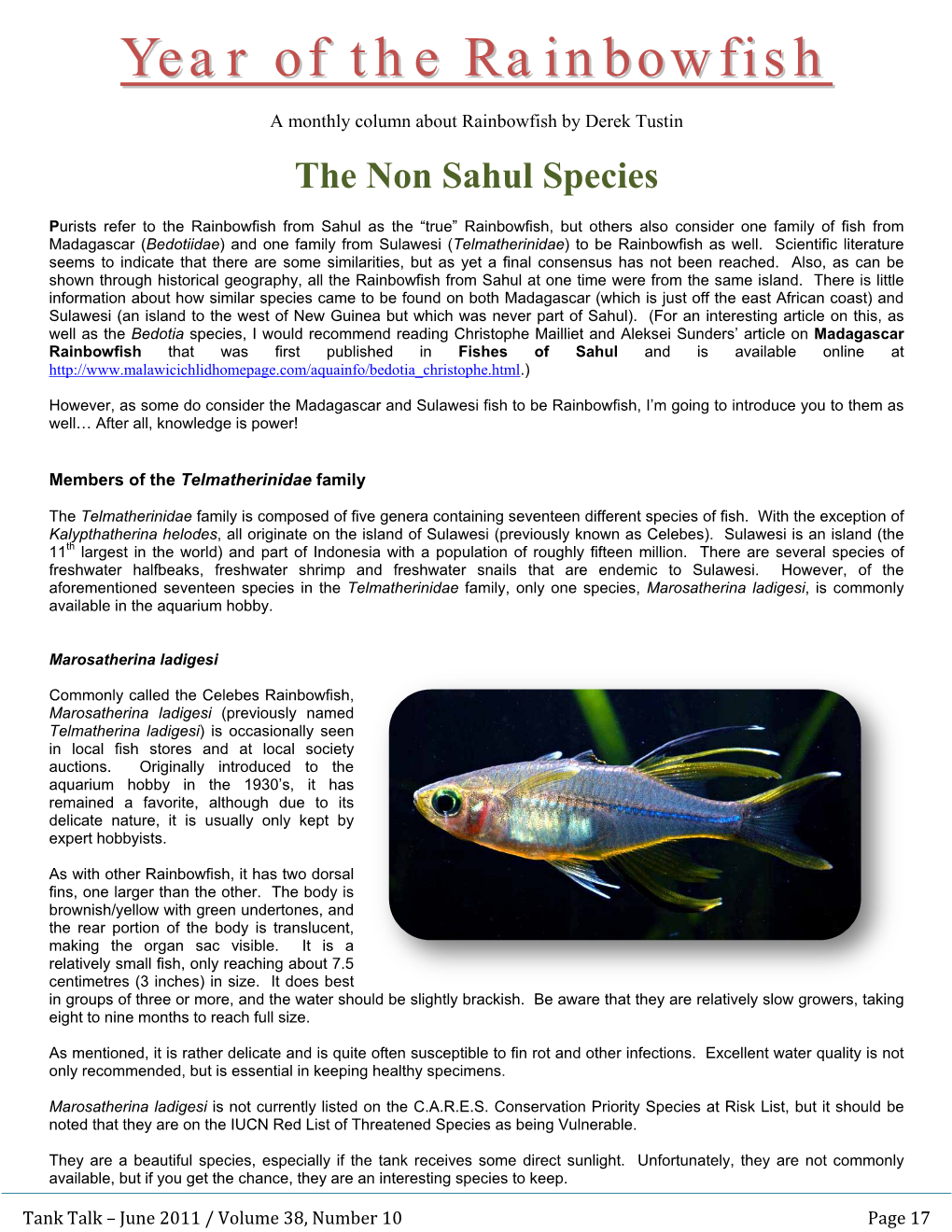 Year of the Rainbowfish – the Non Sahul Species