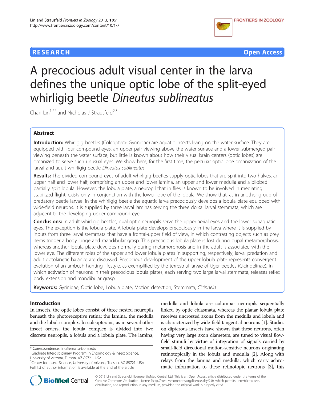 A Precocious Adult Visual Center in the Larva Defines the Unique Optic Lobe