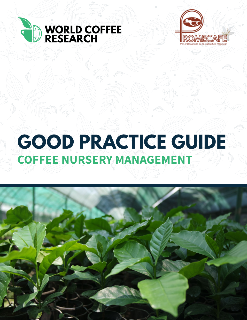 Good Practice Guide: Coffee Nursery Management