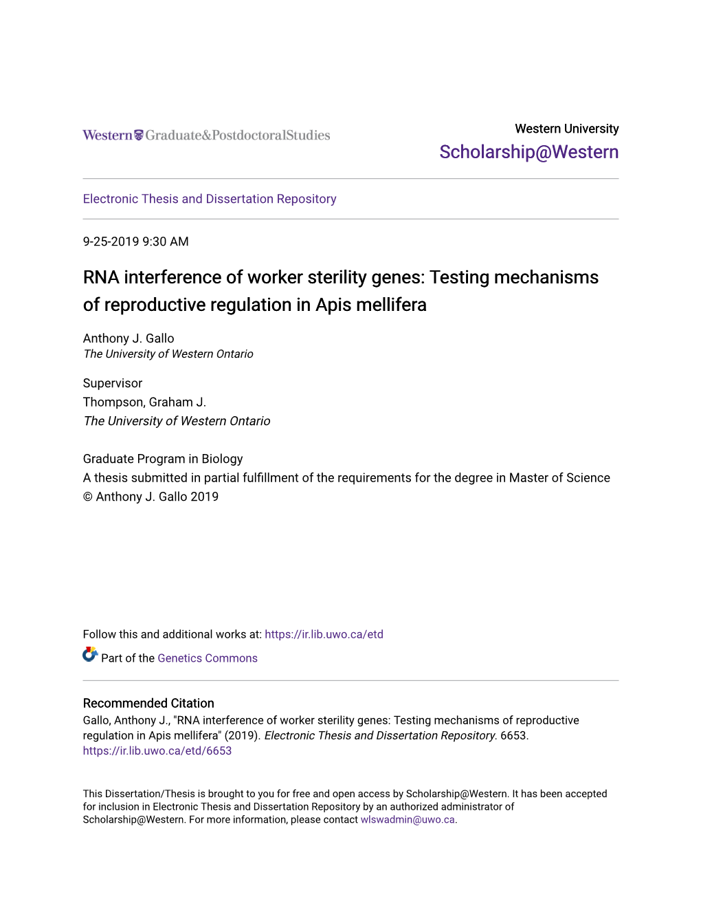 RNA Interference of Worker Sterility Genes: Testing Mechanisms of Reproductive Regulation in Apis Mellifera