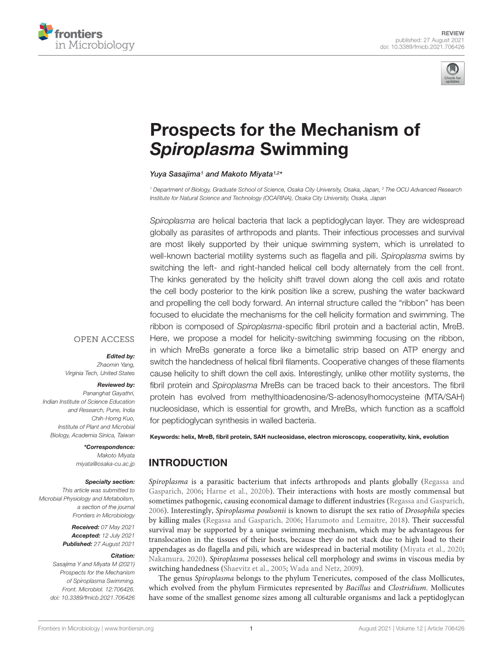 Prospects for the Mechanism of Spiroplasma Swimming