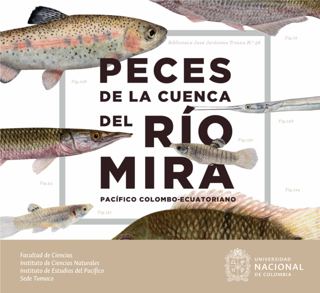 Peces Río Mira