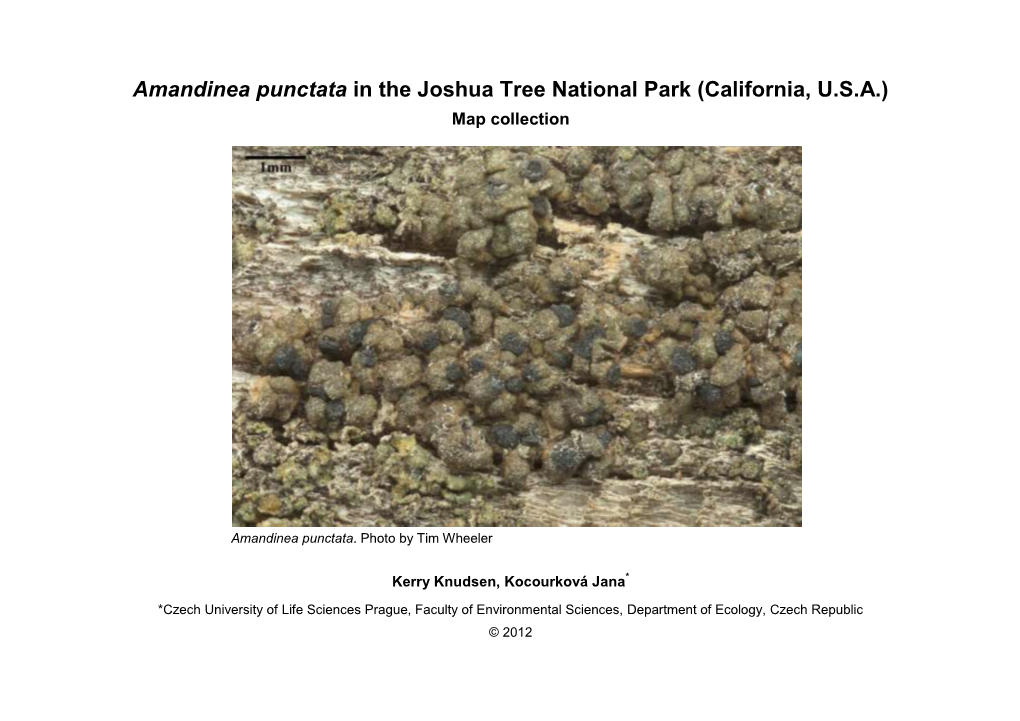 Amandinea Punctata in the Joshua Tree National Park (California, U.S.A.) Map Collection