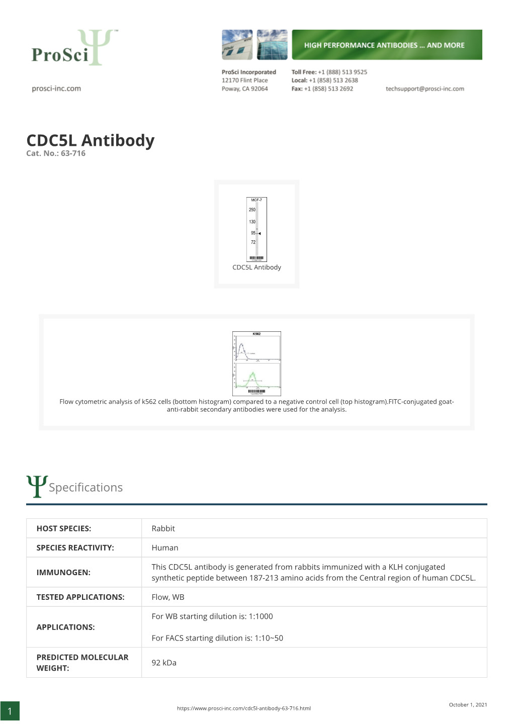 CDC5L Antibody Cat