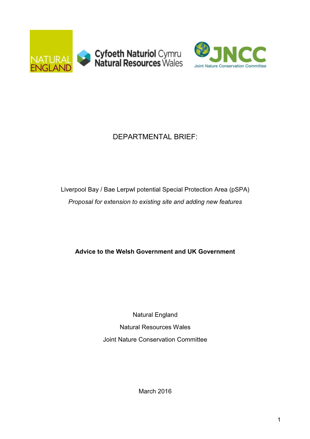 Liverpool Bay / Bae Lerpwl SPA: Departmental Brief