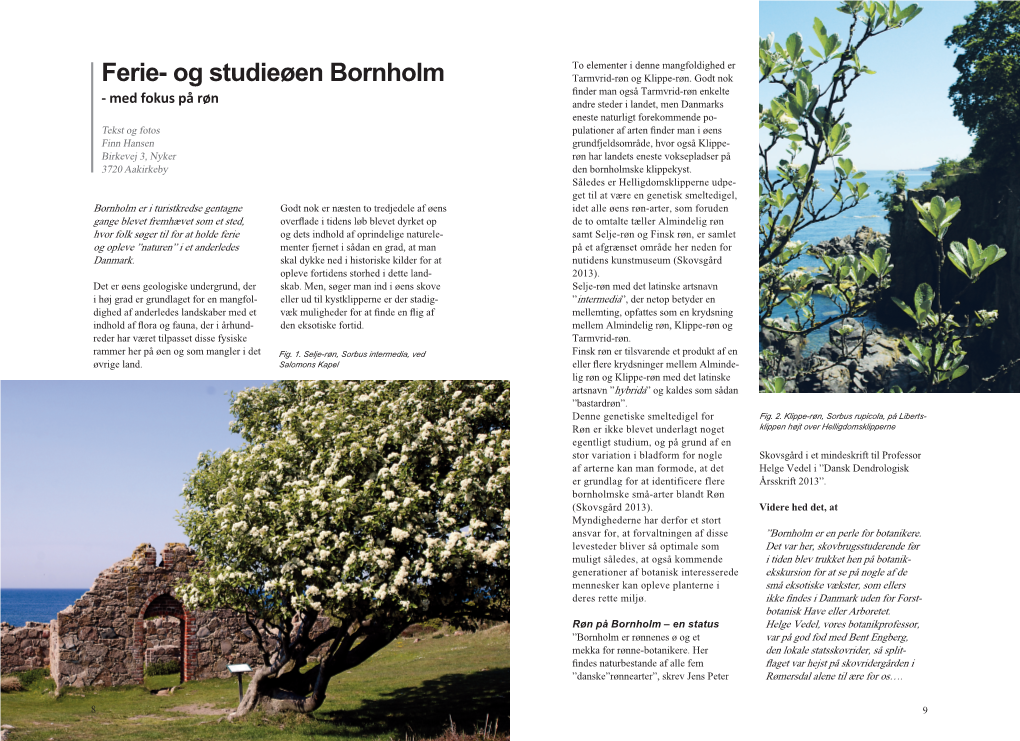 Og Studieøen Bornholm Tarmvrid-Røn Og Klippe-Røn