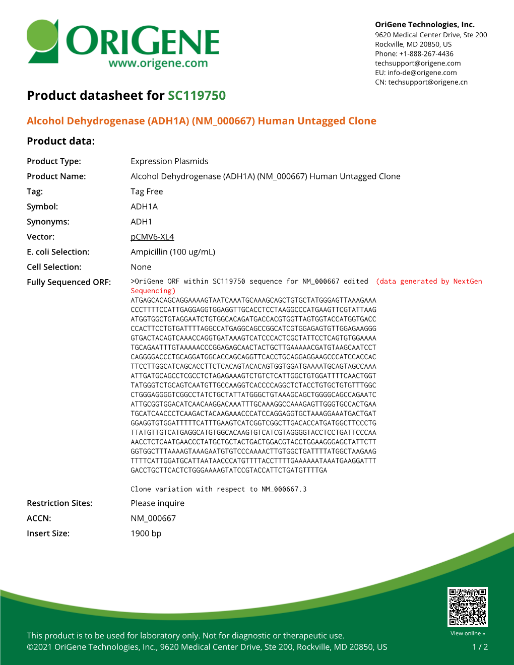 Alcohol Dehydrogenase (ADH1A) (NM 000667) Human Untagged Clone – SC119750 | Origene