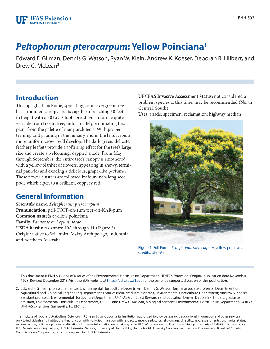 Peltophorum Pterocarpum: Yellow Poinciana1 Edward F