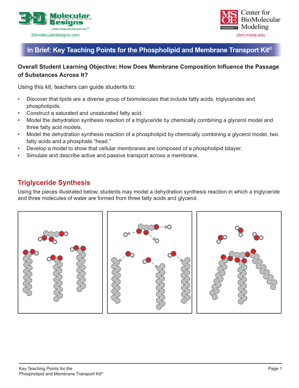 In Brief: Key Teaching Points for the Phospholipid and Membrane