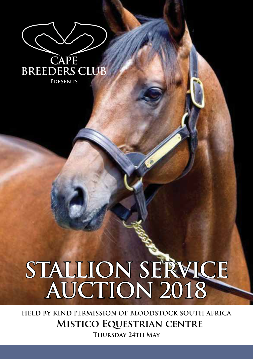 The Individual Sires Information Sheets – Click Here