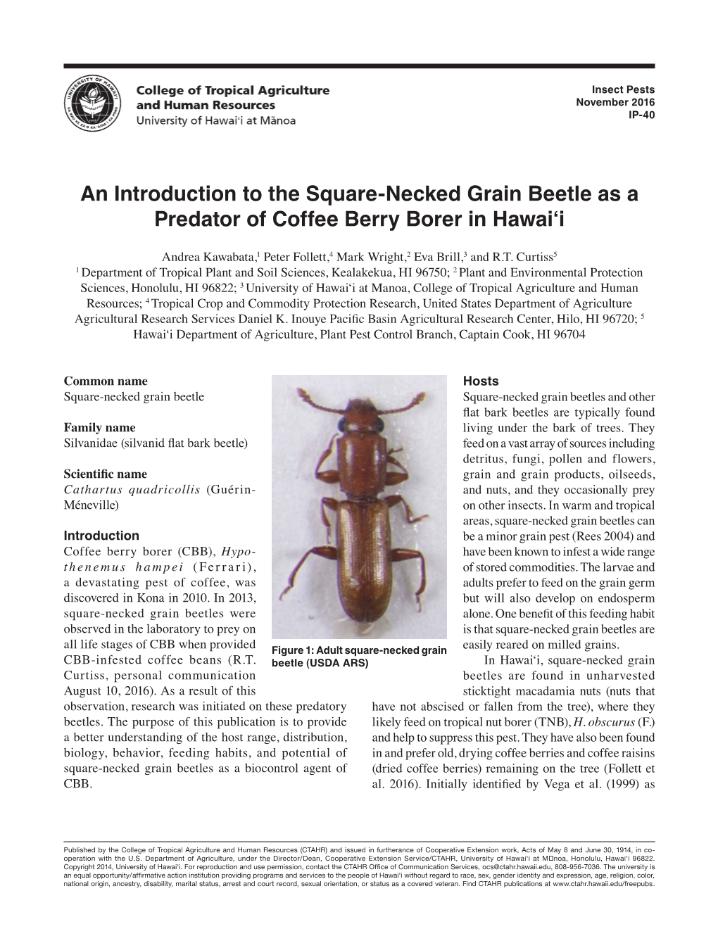An Introduction to the Square-Necked Grain Beetle As a Predator of Coffee Berry Borer in Hawai‘I