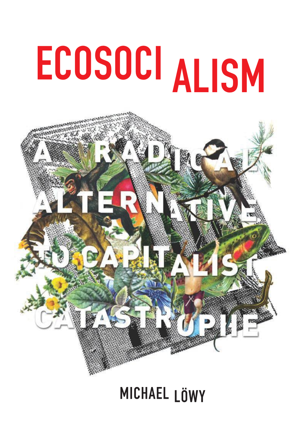 Ecosoci Alism