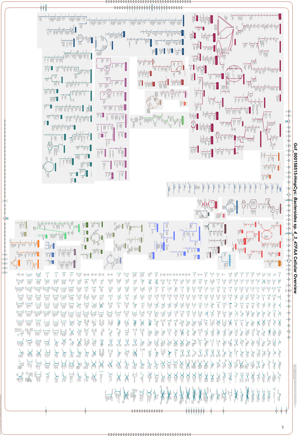 Generate Metabolic Map Poster