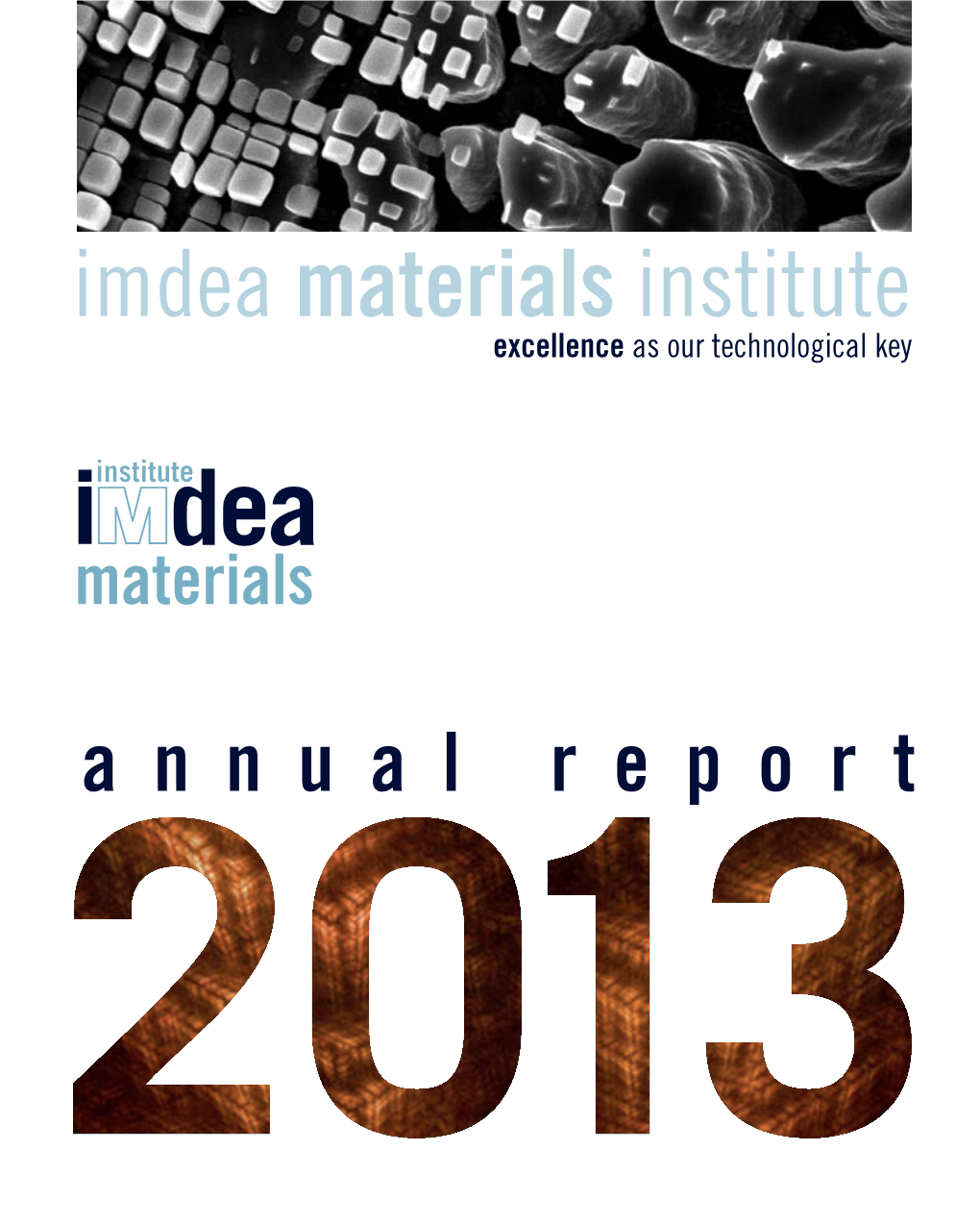Annual Report 2013 Materials Imdea T R O P E R L a U N N a Institute Materials As Our Technological Key Technological Our As Excellence