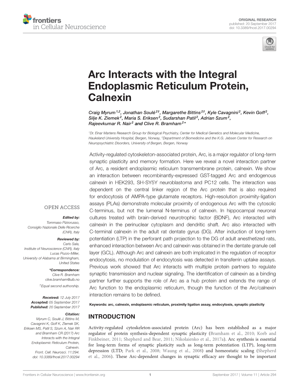 Arc Interacts with the Integral Endoplasmic Reticulum Protein, Calnexin