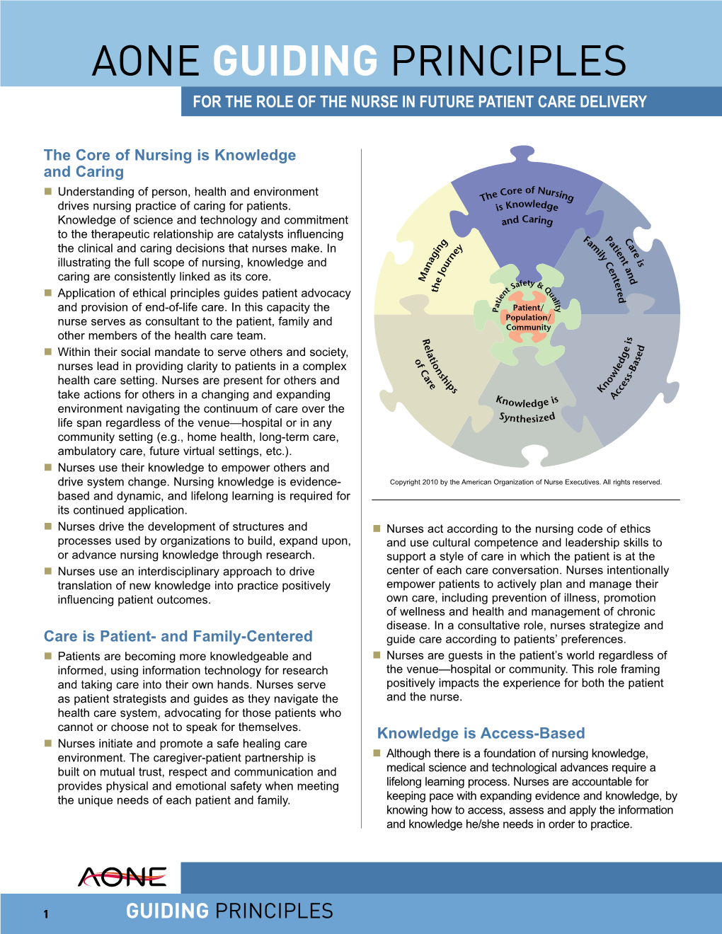 AONE Guiding Principles for the Role of the Nurse in Future Patient Care Delivery