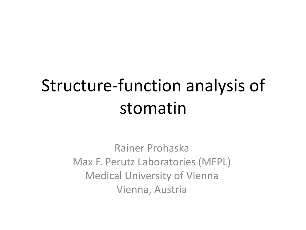 Structure-Function Analysis of Stomatin