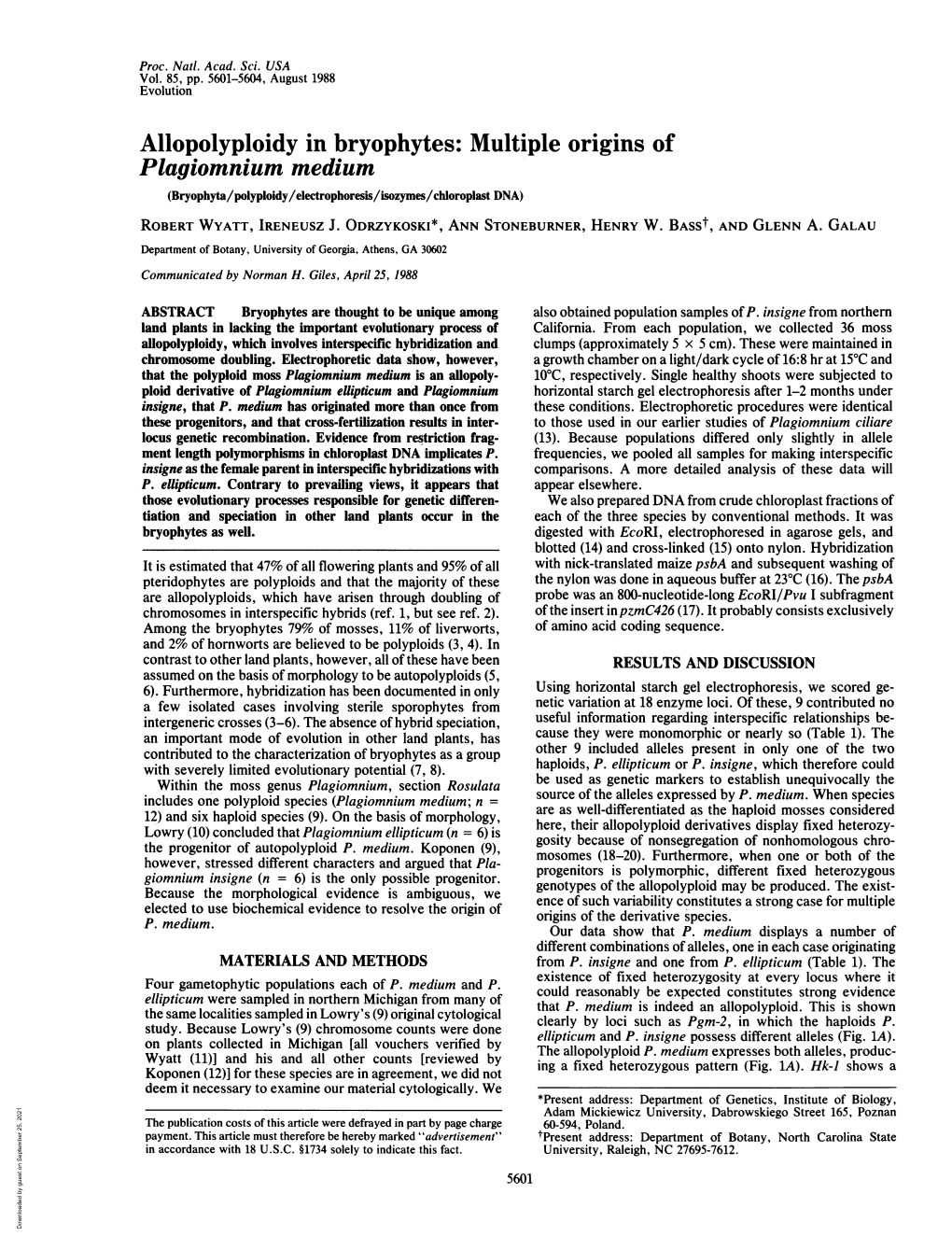 Allopolyploidy in Bryophytes: Multiple Origins of Plagiomnium Medium (Bryophyta/Polyploidy/Electrophoresis/Isozymes/Chloroplast DNA) ROBERT WYATT, IRENEUSZ J