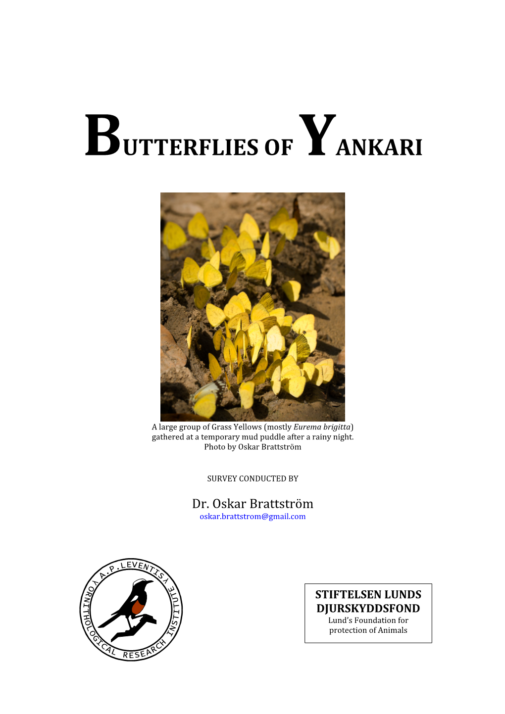 Butterflies of Yankari