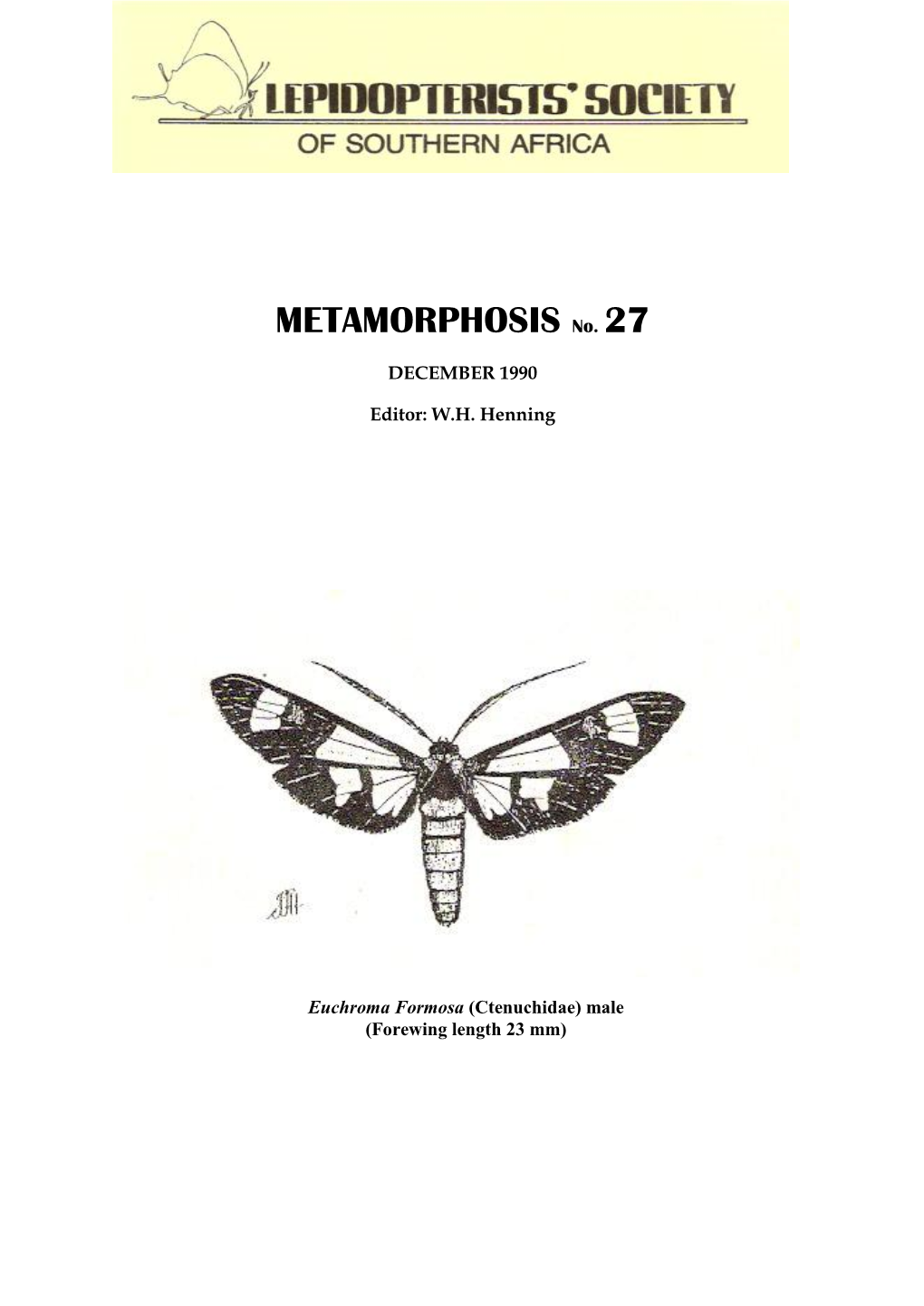 METAMORPHOSIS No. 27