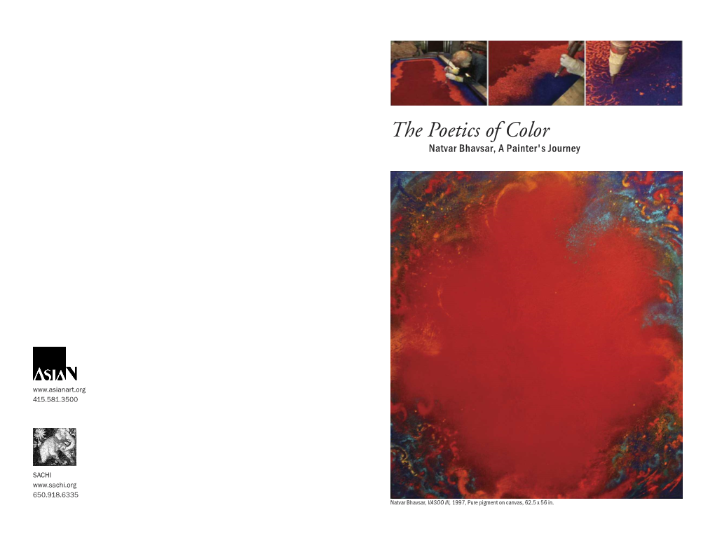 The Poetics of Color Natvar Bhavsar, a Painter's Journey