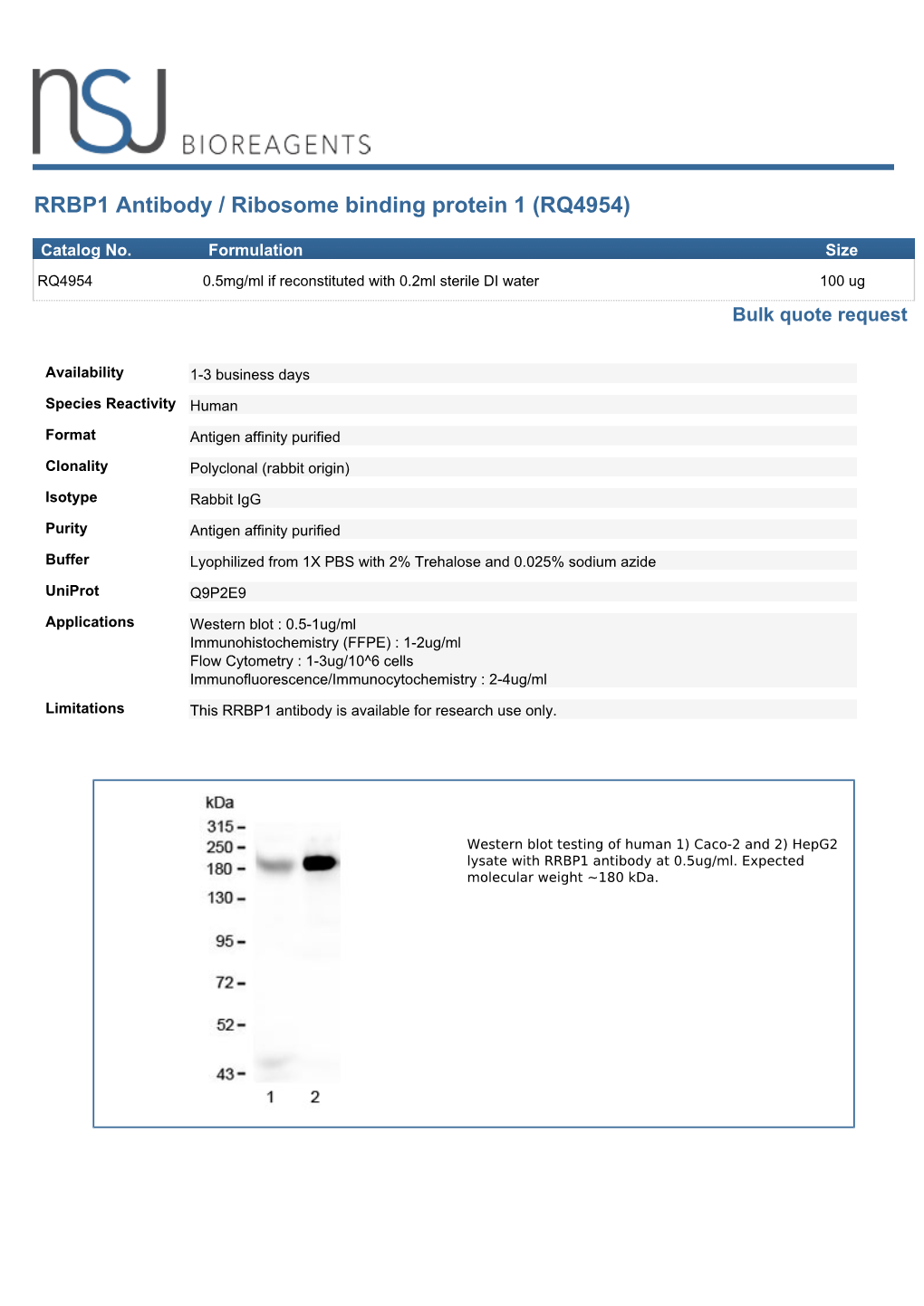 RRBP1 Antibody / Ribosome Binding Protein 1 (RQ4954)