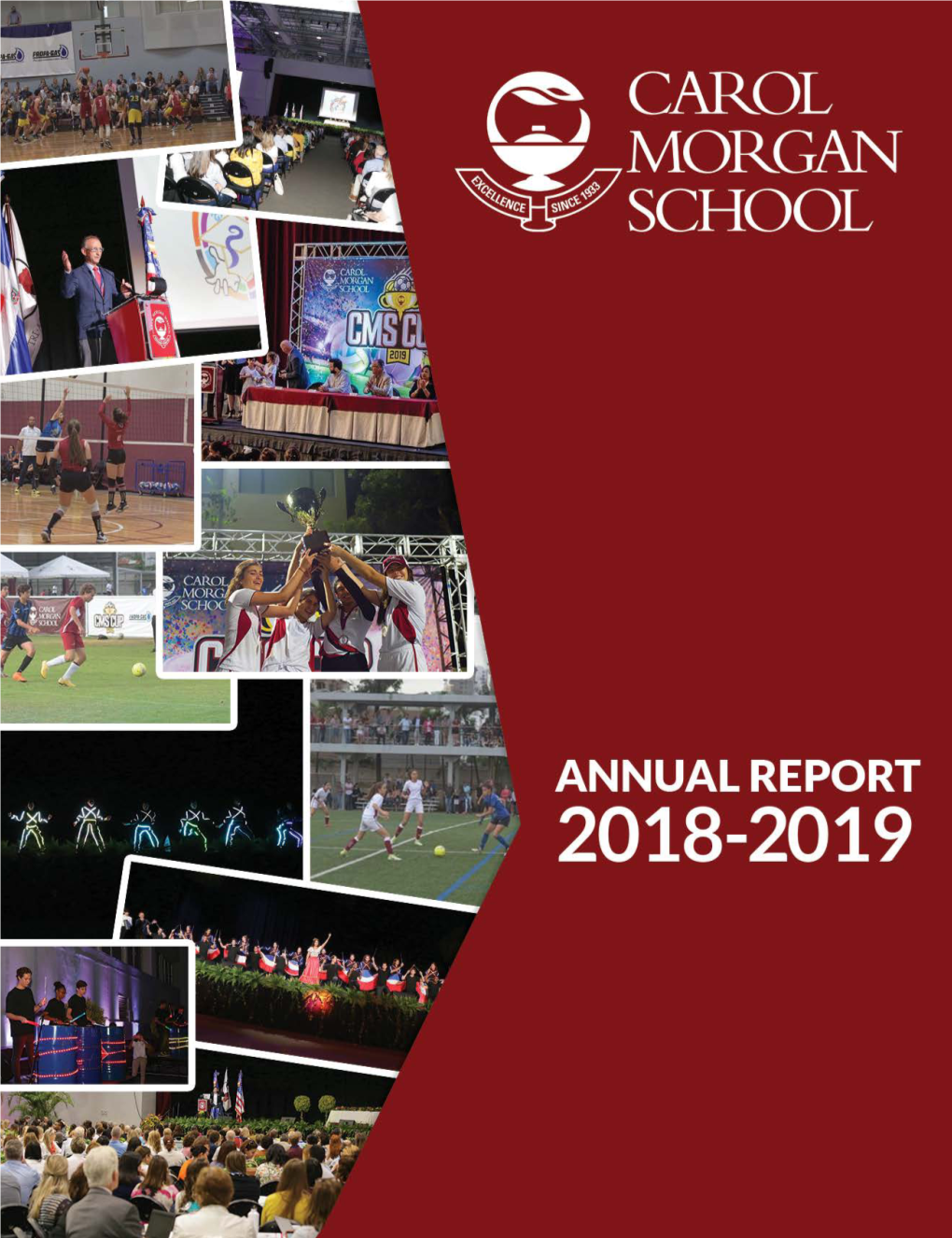 CMS Annual Report 2018-2019