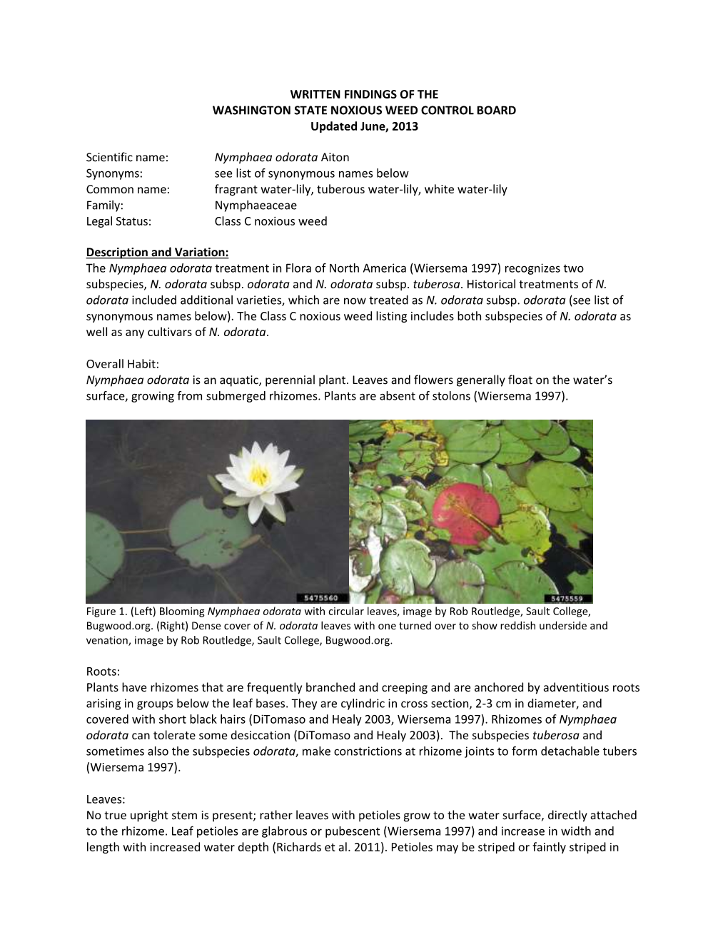 WRITTEN FINDINGS of the WASHINGTON STATE NOXIOUS WEED CONTROL BOARD Updated June, 2013 Scientific Name: Nymphaea Odorata Aiton