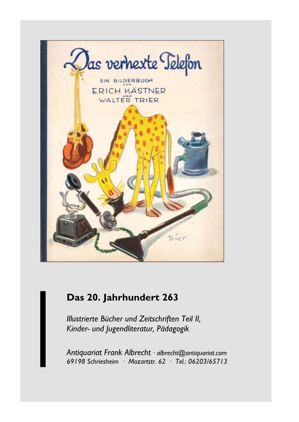 Das 20. Jahrhundert 263