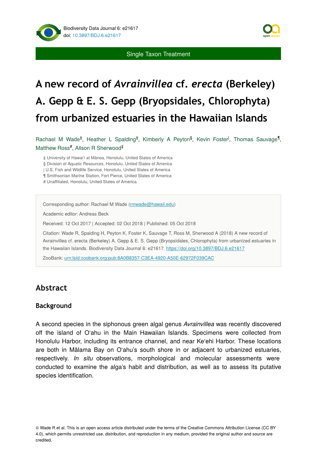 A New Record of Avrainvillea Cf. Erecta (Berkeley) A. Gepp & E. S. Gepp (Bryopsidales, Chlorophyta) from Urbanized Estuaries