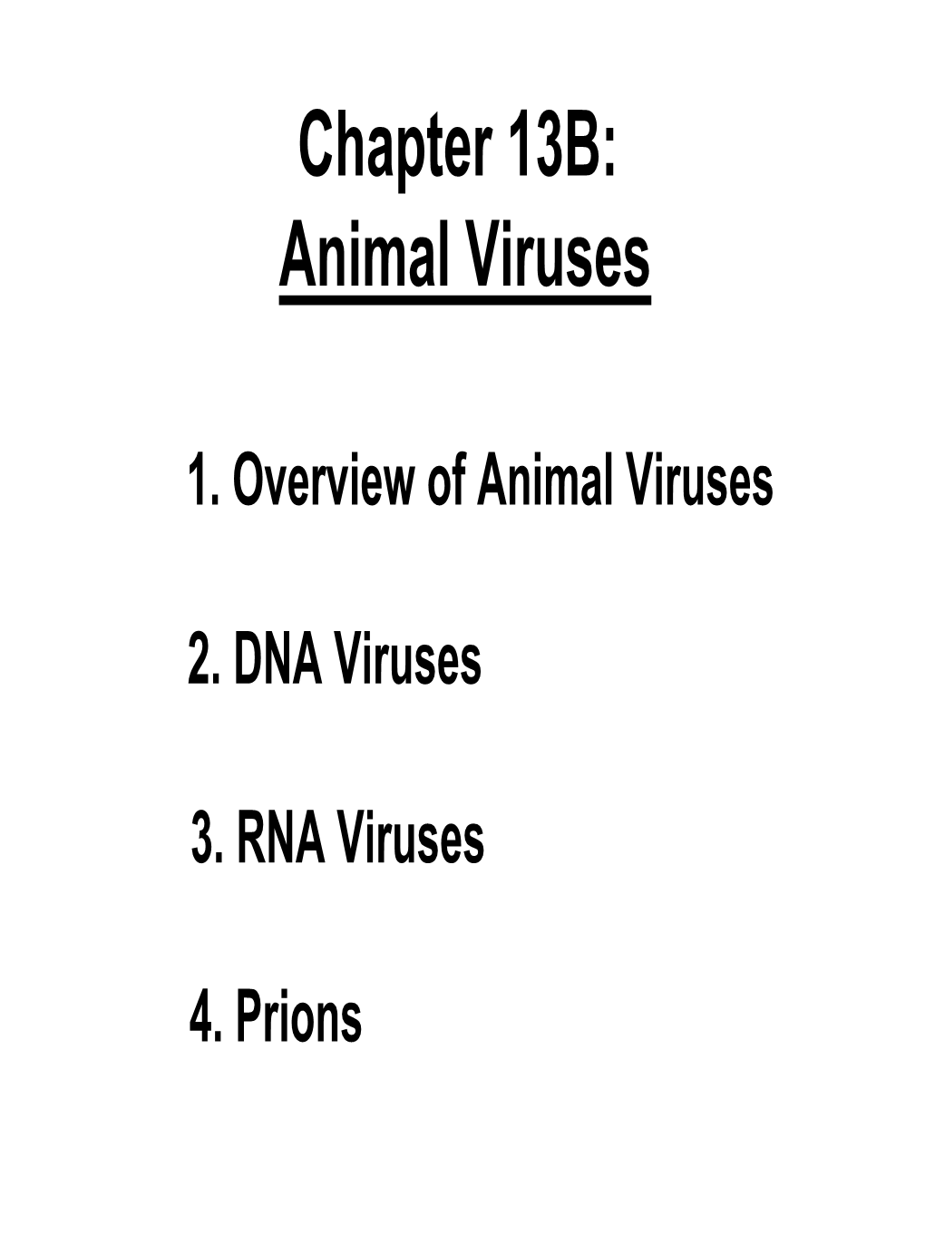 Chapter 13B: Animal Viruses