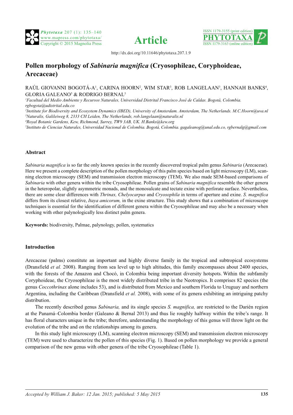 Pollen Morphology of Sabinaria Magnifica (Cryosophileae, Coryphoideae, Arecaceae)