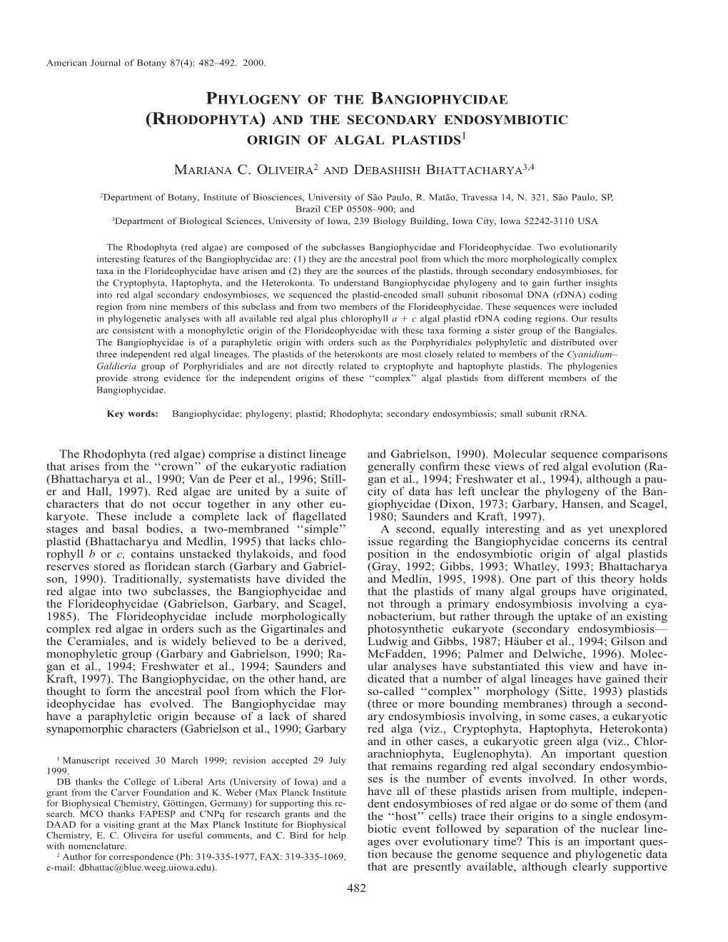 Phylogeny of the Bangiophycidae (Rhodophyta) and the Secondary Endosymbiotic Origin of Algal Plastids1