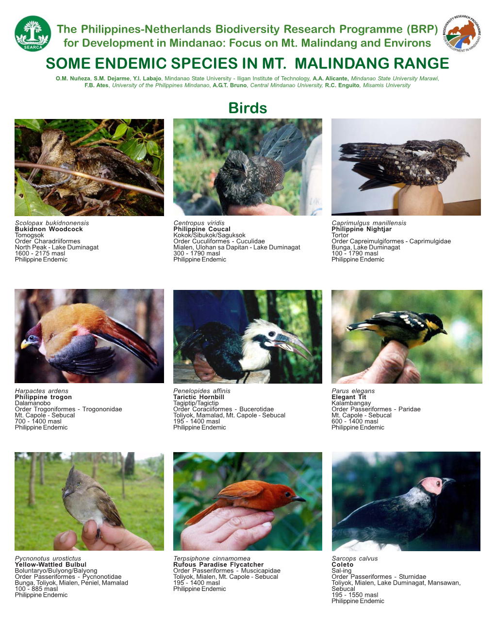 Fauna Endemic Birds.Pmd