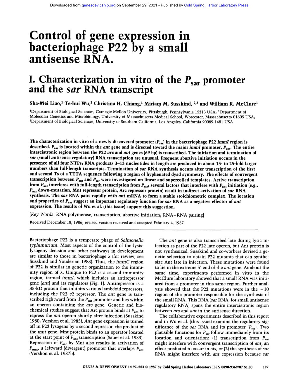 Control of Gene Expression in Bacteriophage P22 by a Small Antisense RNA