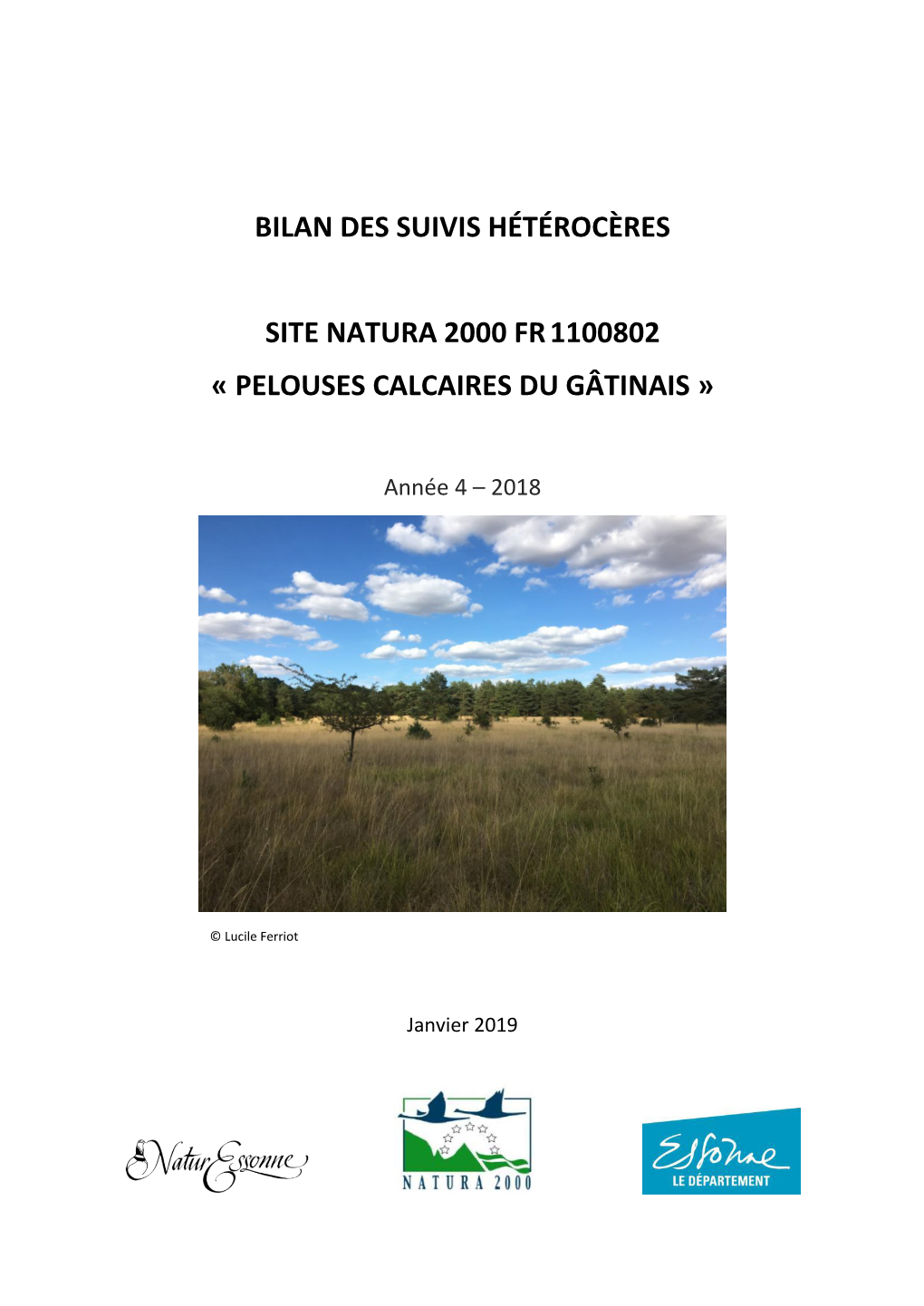 Bilan Des Suivis Hétérocères Site Natura