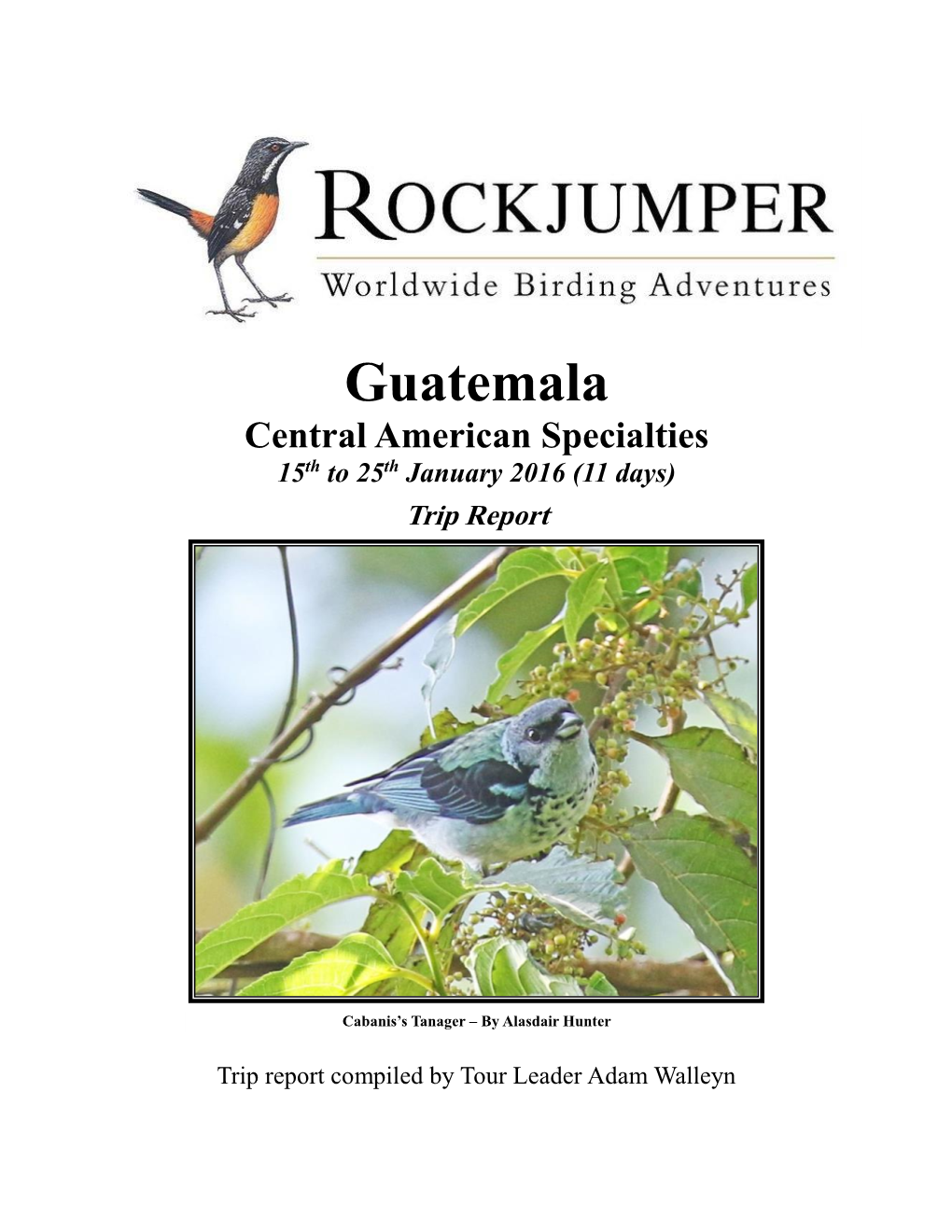 Guatemala Central American Specialties 15Th to 25Th January 2016 (11 Days)