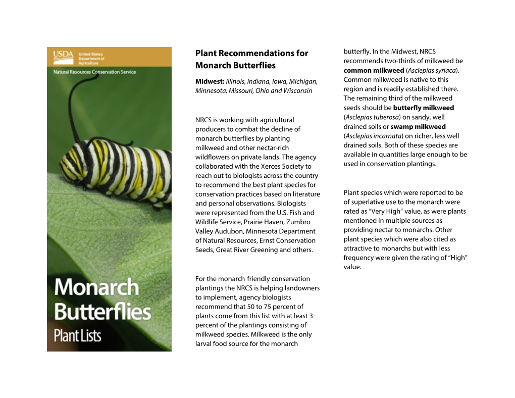 Plant Recommendations for Monarch Butterflies for the Midwest