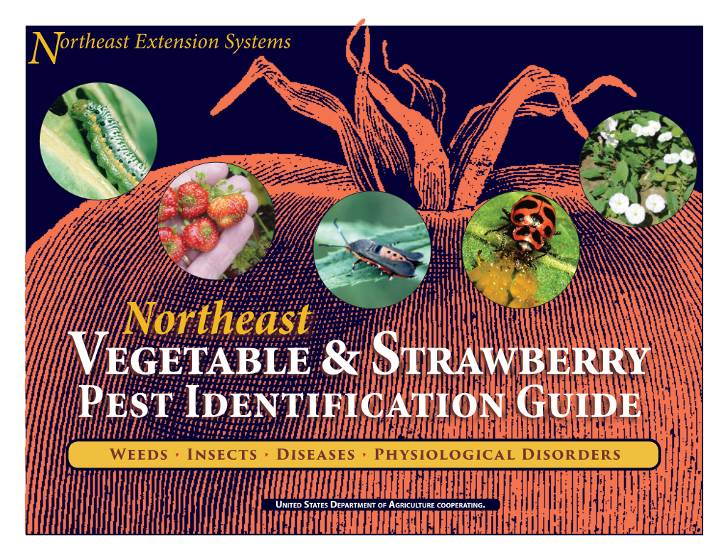 Pest ID Guide
