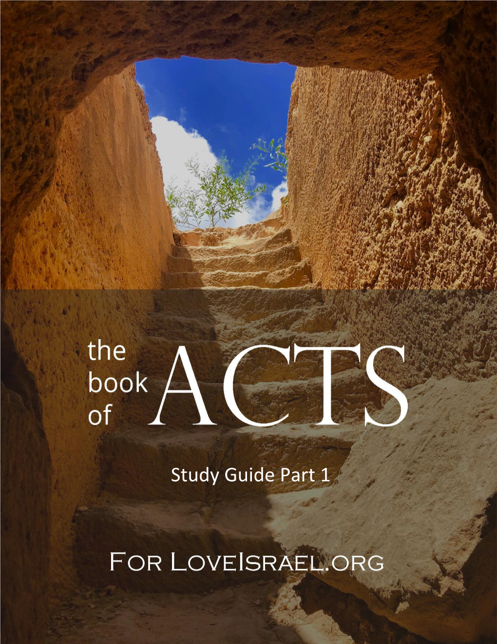 Study Guide Part 1 Acts for Loveisrael.Org Chapter 1 Part 1: Acts 1V1-12