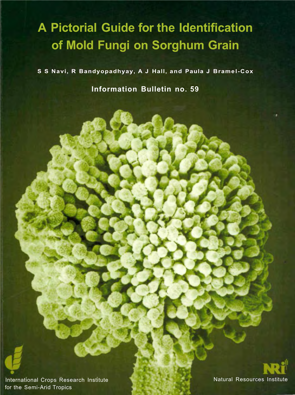 A Pictorial Guide for the Identification of Mold Fungi on Sorghum Grain