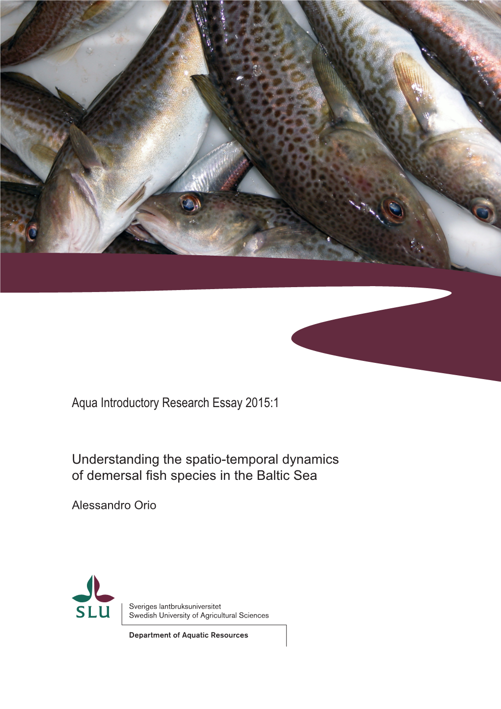 Understanding the Spatio-Temporal Dynamics of Demersal Fish Species in the Baltic Sea