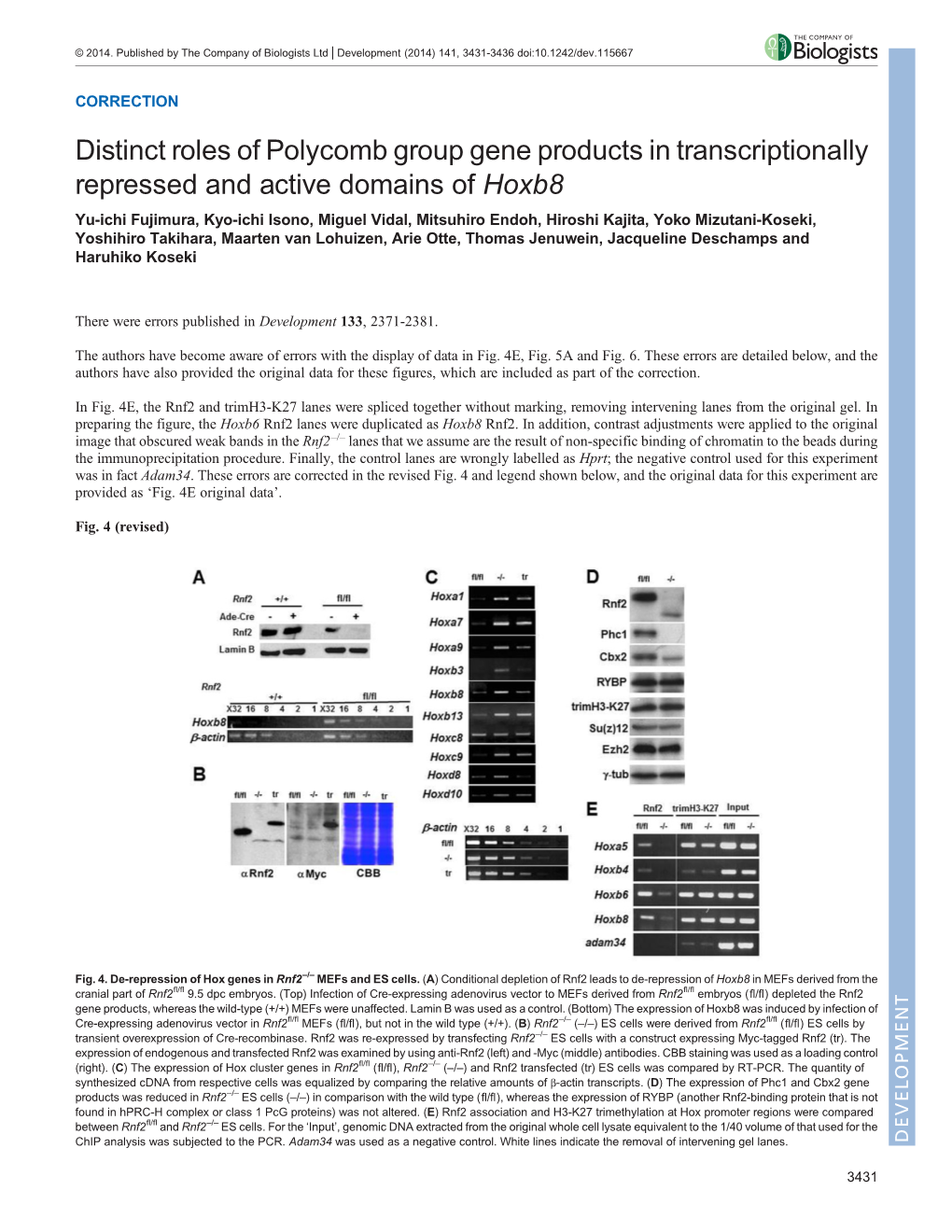 Distinct Roles of Polycomb Group Gene Products in Transcriptionally