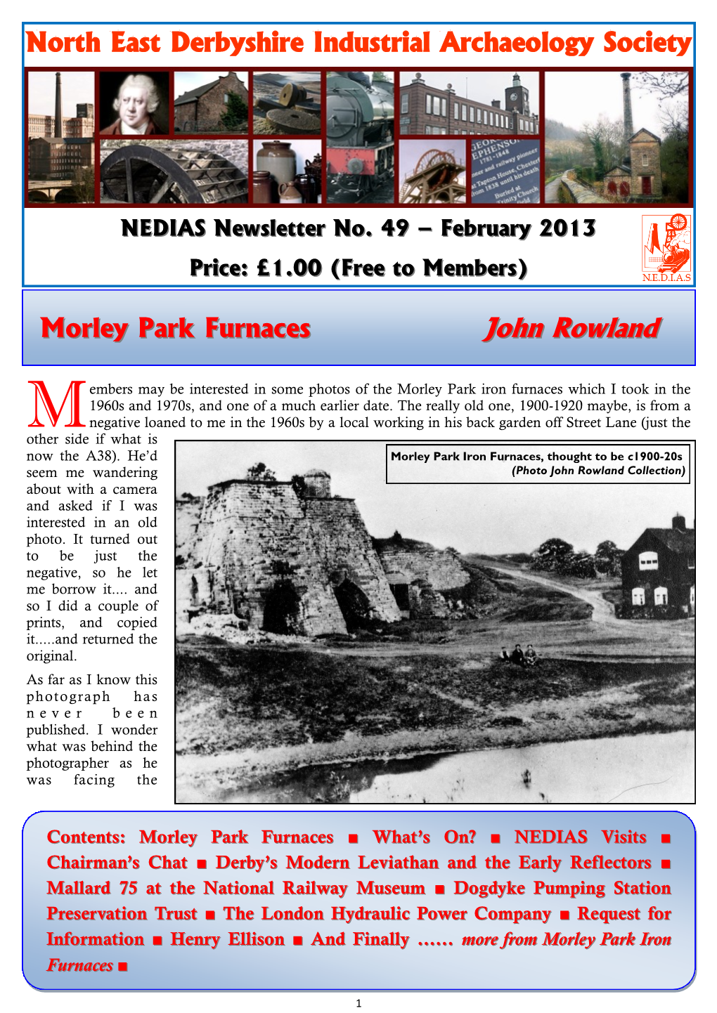 NEDIAS Newsletter No 49 February 2013