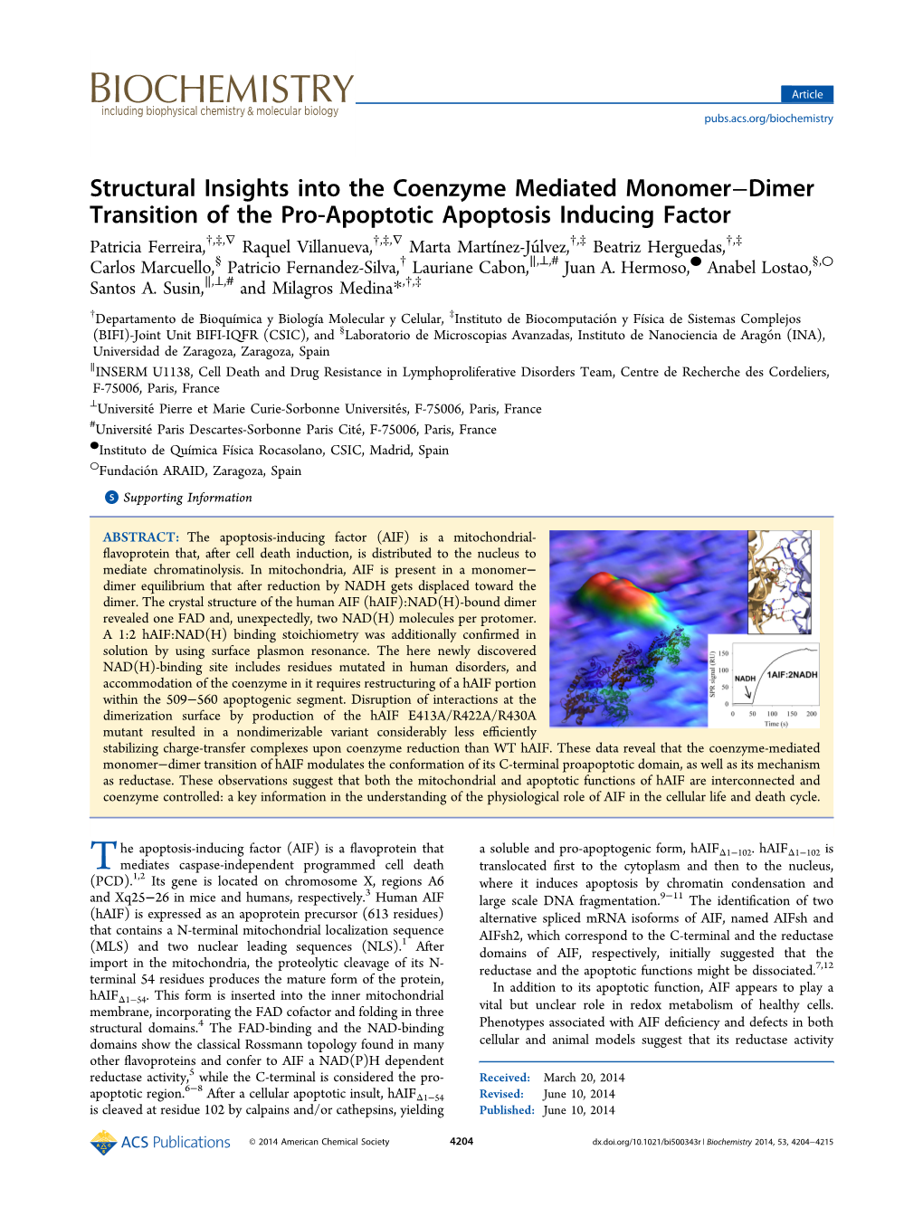 Structural Insights Into the Coenzyme Mediated Monomer−Dimer