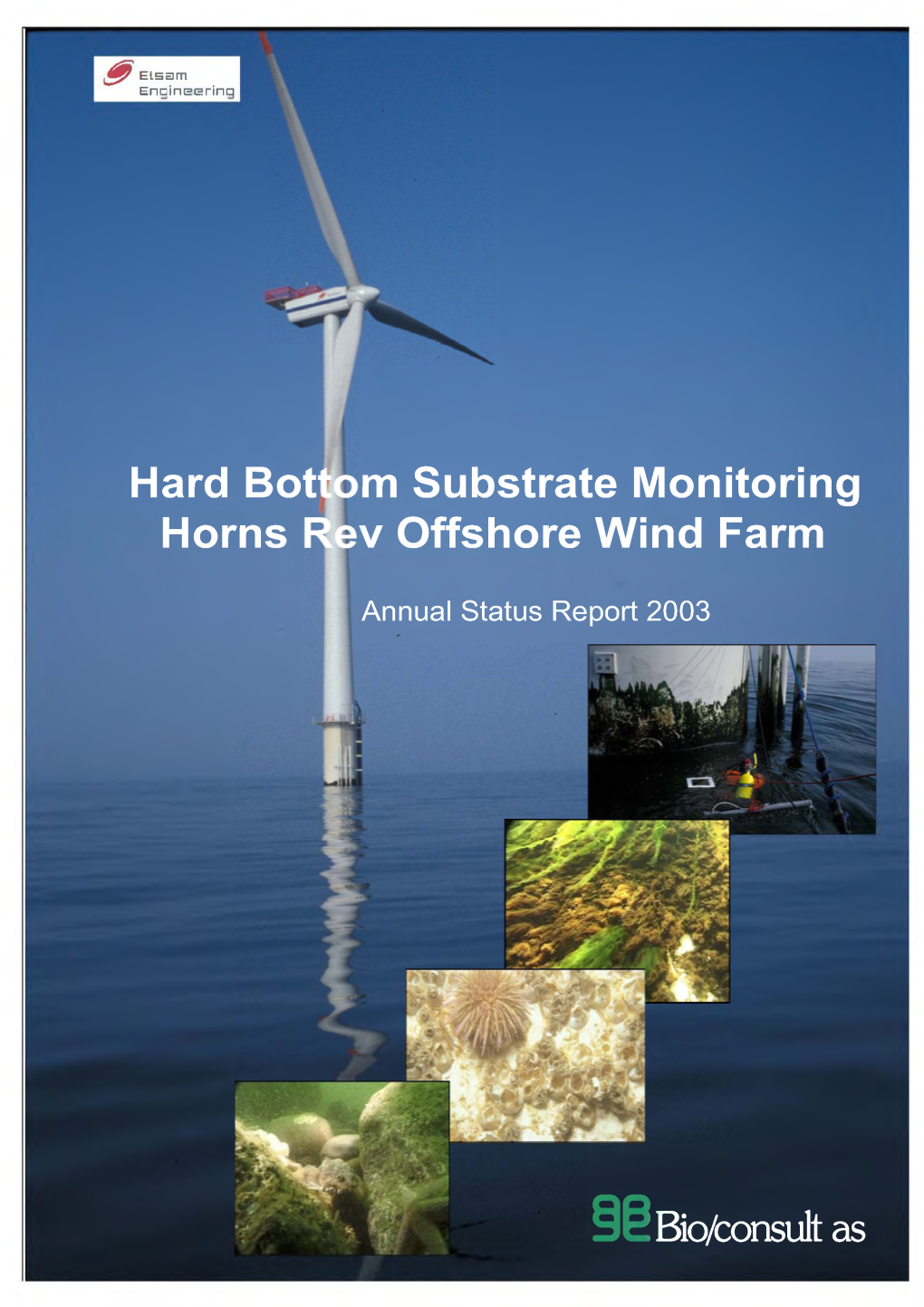 Hard Bottom Substrate Monitoring Horns Rev Offshore Wind Farm