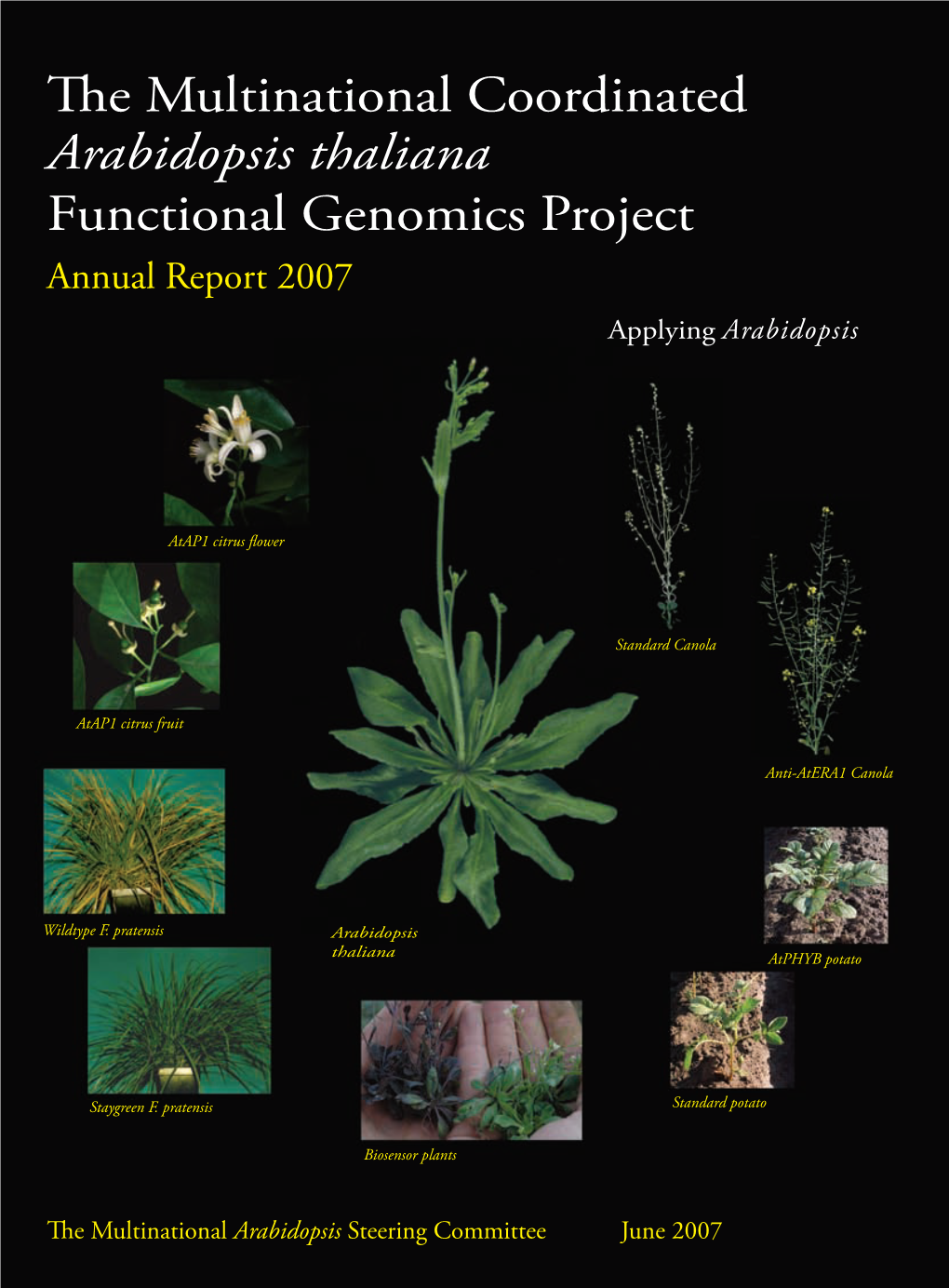 Arabidopsis Thaliana Functional Genomics Project Annual Report 2007 Applying Arabidopsis